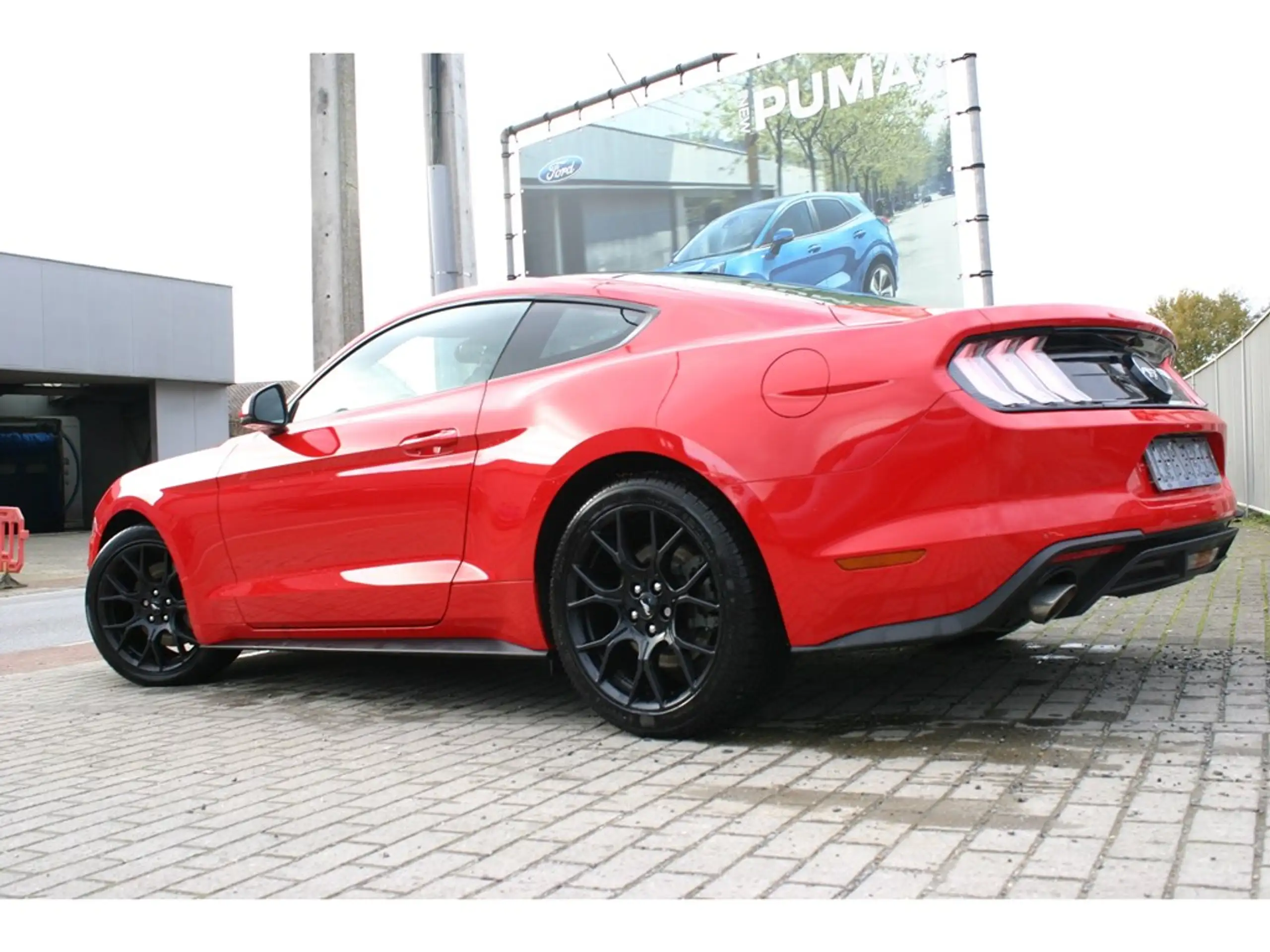 Ford - Mustang