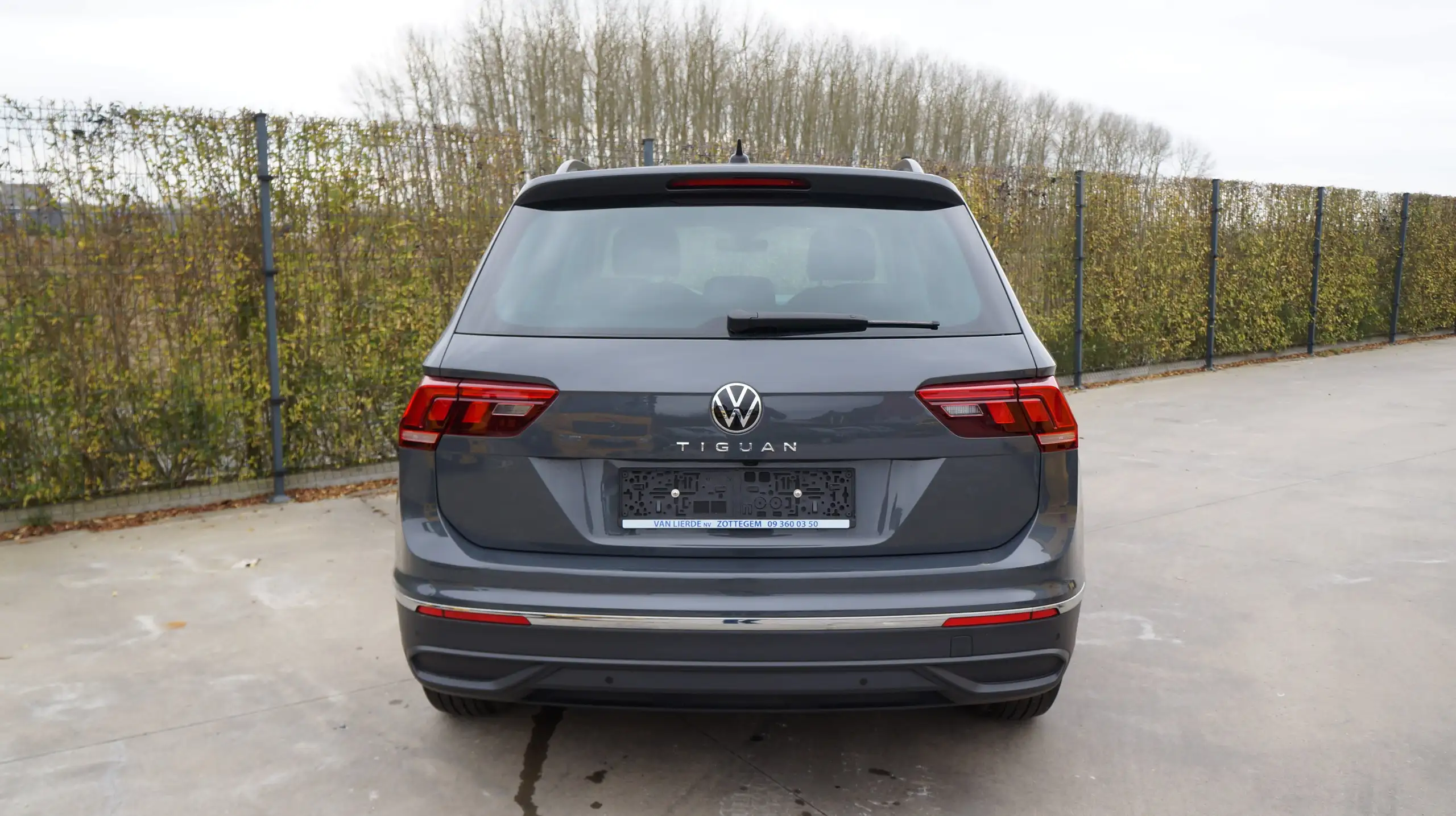 Volkswagen - Tiguan