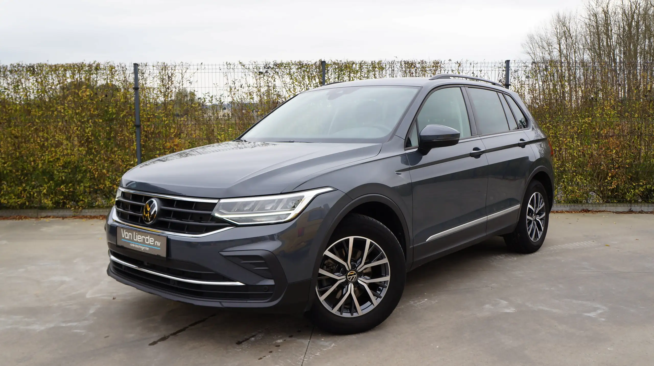 Volkswagen - Tiguan