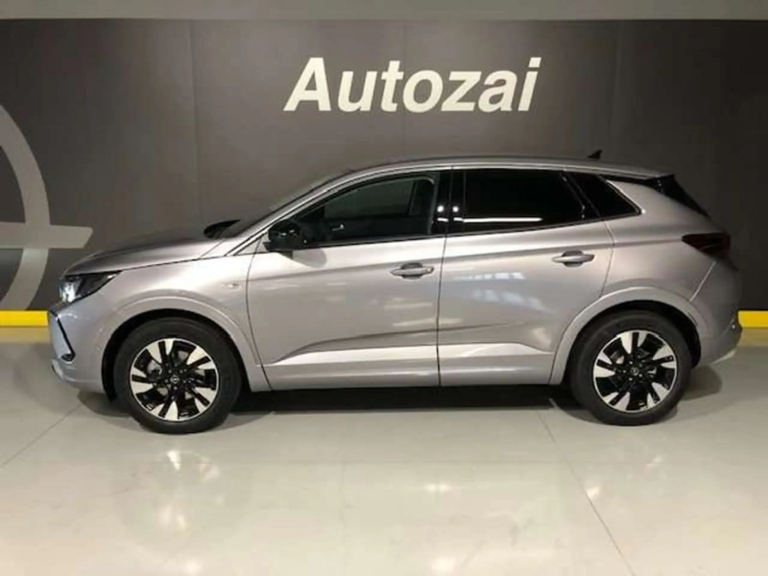 Opel - Grandland X